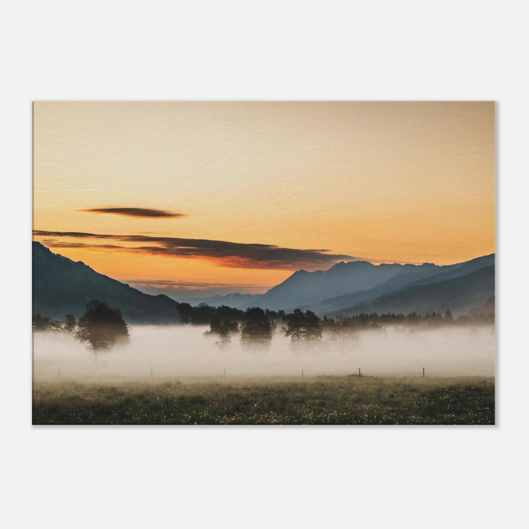 Leinwand Dick - Kapruner Moos am Morgen Print Material JFK Photography Prints 70x100 cm / 28x40″