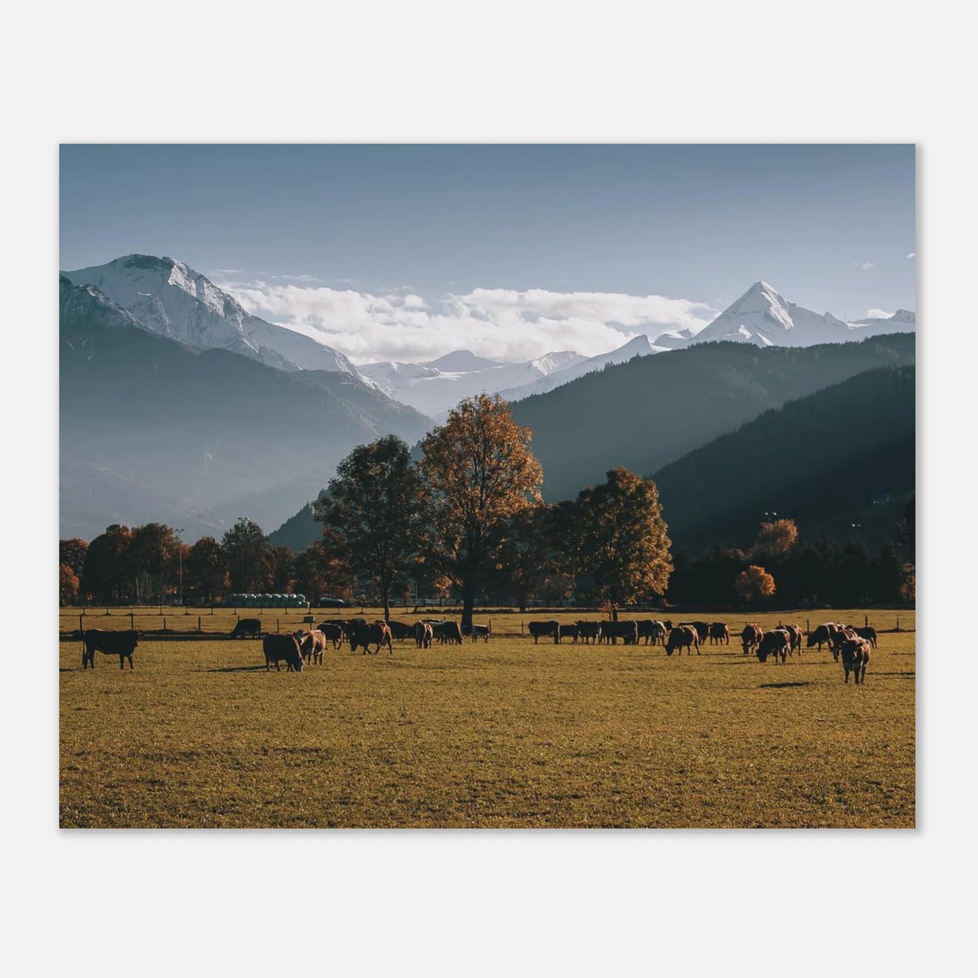 Premium Poster - Herbstlandschaft mit dem Kitzsteinhorn Print Material JFK Photography Prints 20x25 cm / 8x10″