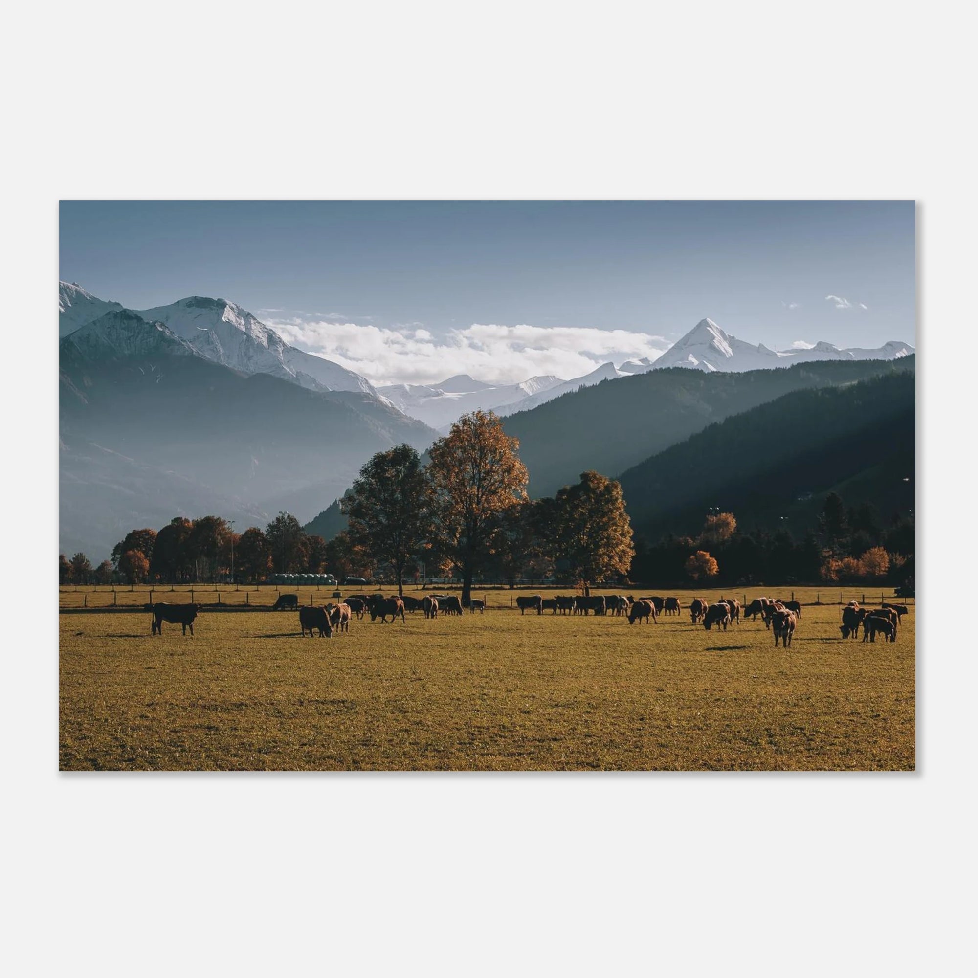 Premium Poster - Herbstlandschaft mit dem Kitzsteinhorn Print Material JFK Photography Prints 40x60 cm / 16x24″