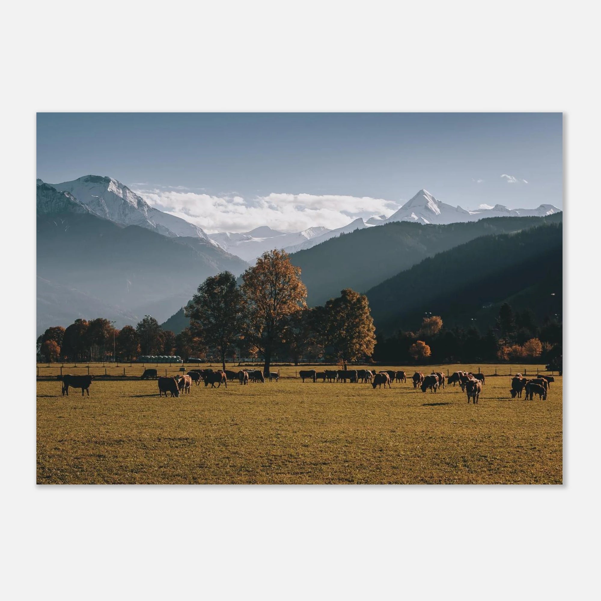 Premium Poster - Herbstlandschaft mit dem Kitzsteinhorn Print Material JFK Photography Prints A2 (42 x 59.4 cm)