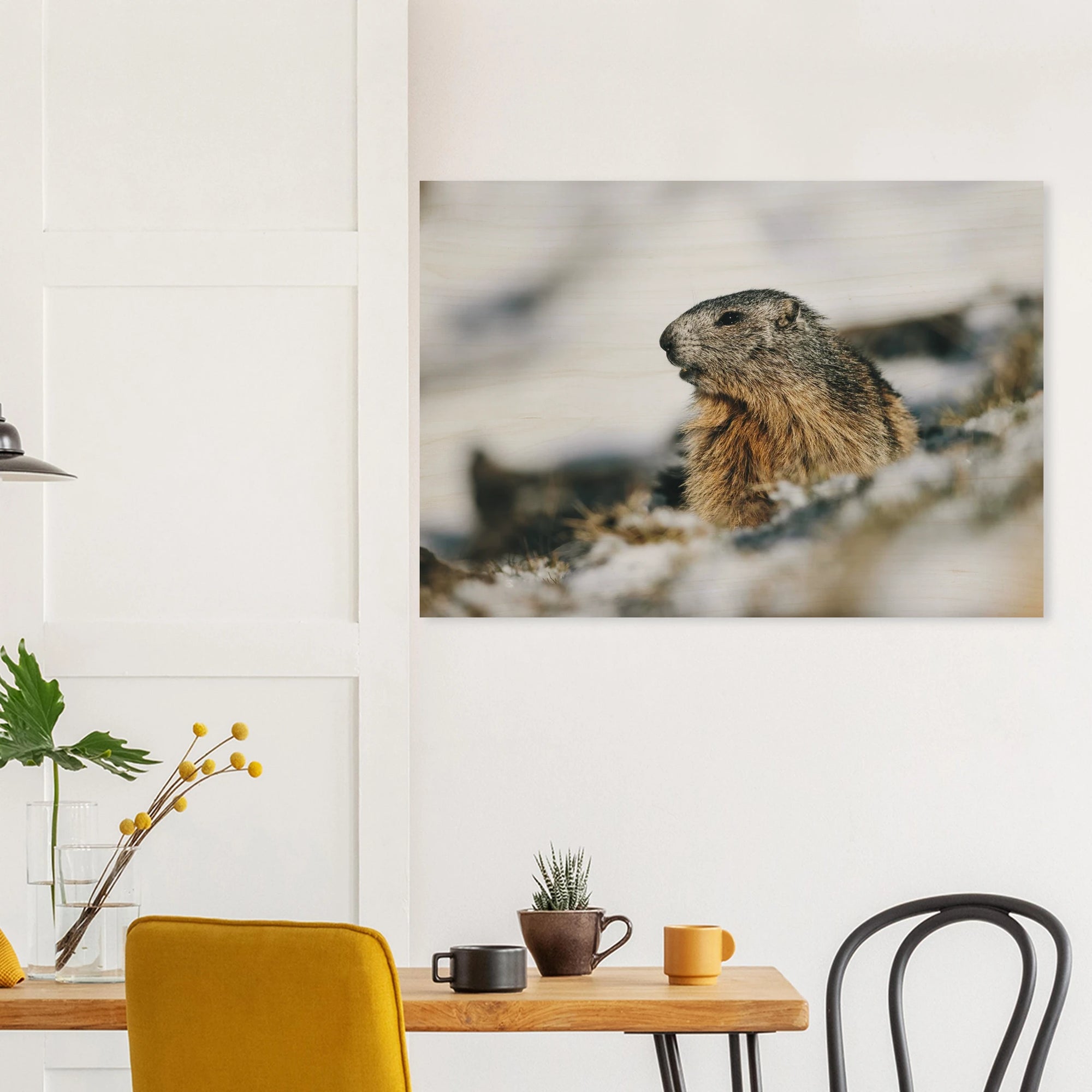Holzdruck - Murmeltier im Schnee Print Material JFK Photography Prints