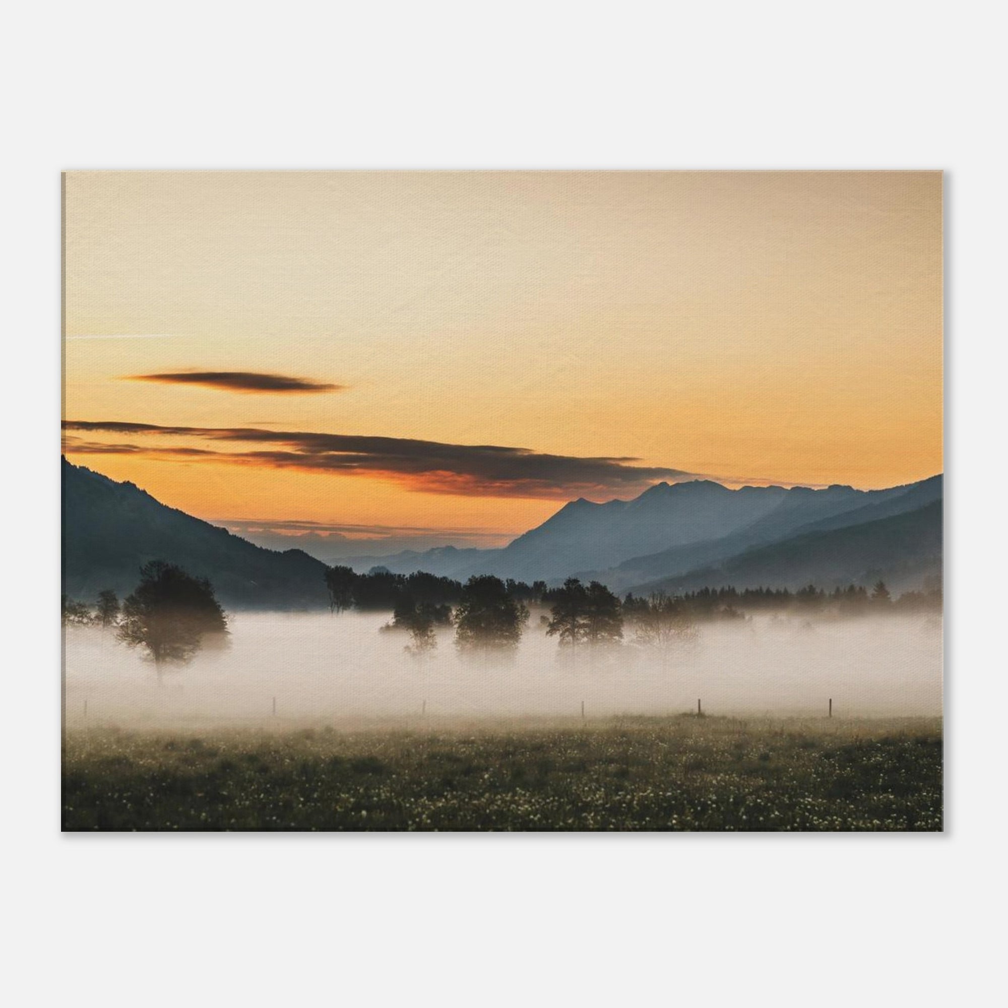 Leinwand Dick - Kapruner Moos am Morgen Print Material JFK Photography Prints 60x80 cm / 24x32″