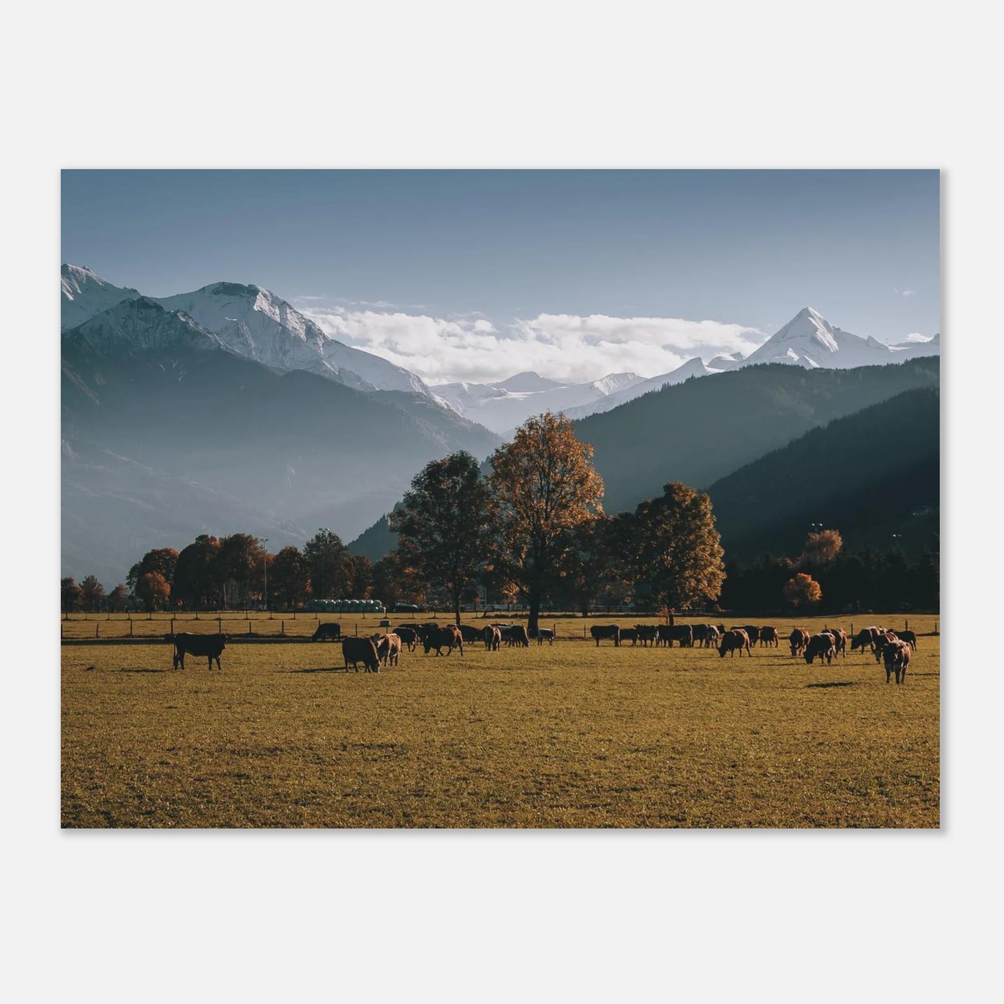 Premium Poster - Herbstlandschaft mit dem Kitzsteinhorn Print Material JFK Photography Prints 75x100 cm / 30x40″