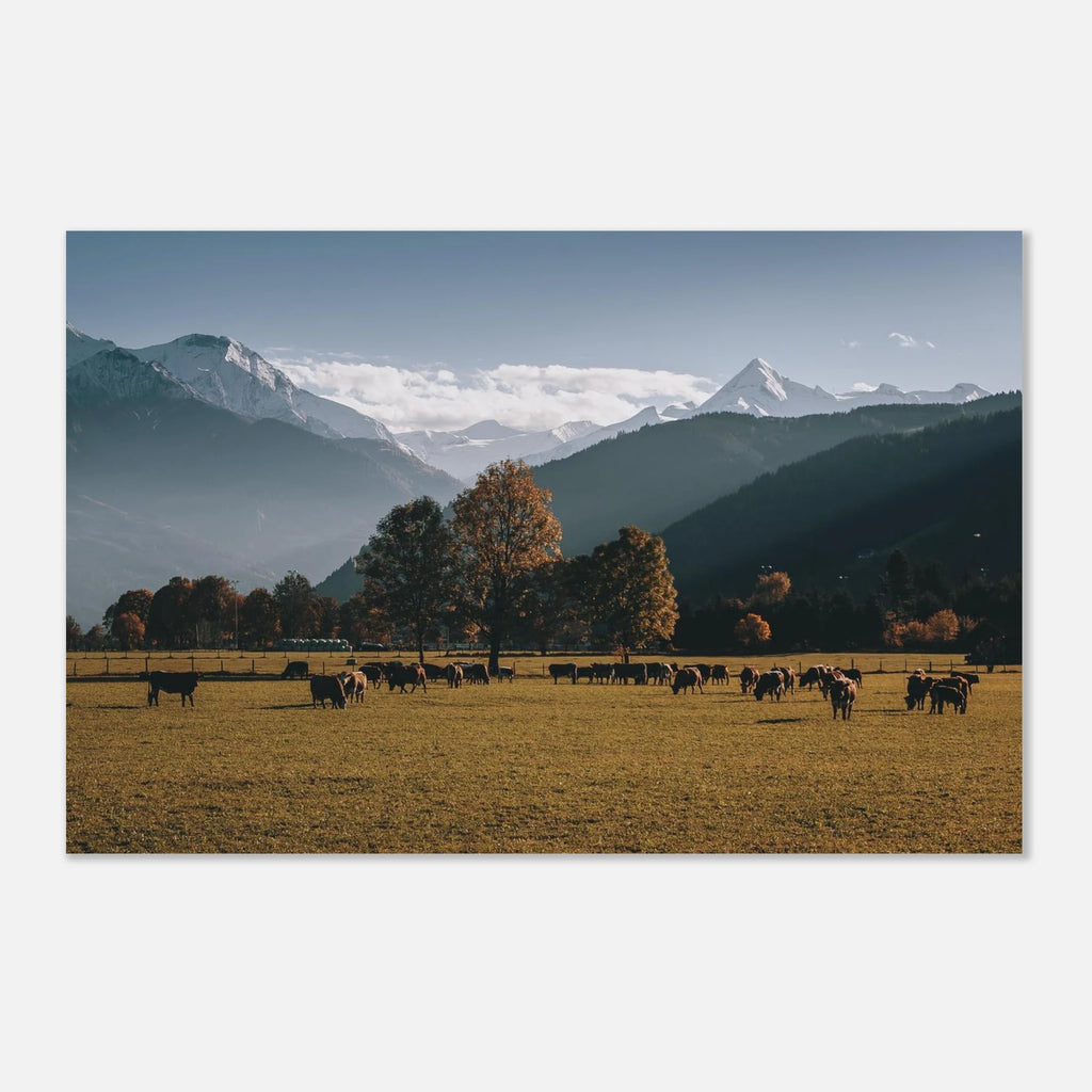 Premium Poster - Herbstlandschaft mit dem Kitzsteinhorn Print Material JFK Photography Prints 28x43 cm / XL (11x17″)