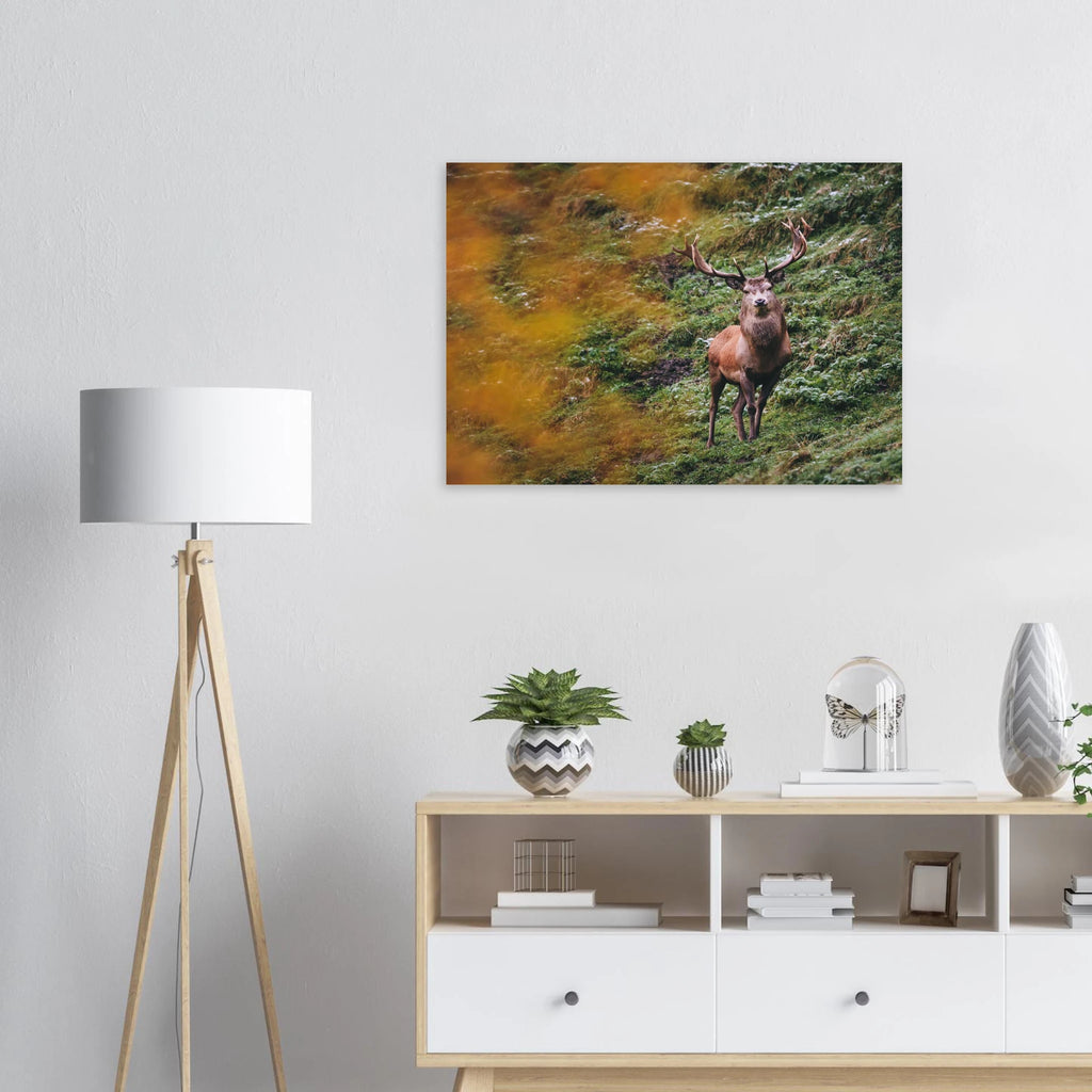 Premium Poster - Herbstliche Brunftzeit Print Material JFK Photography Prints