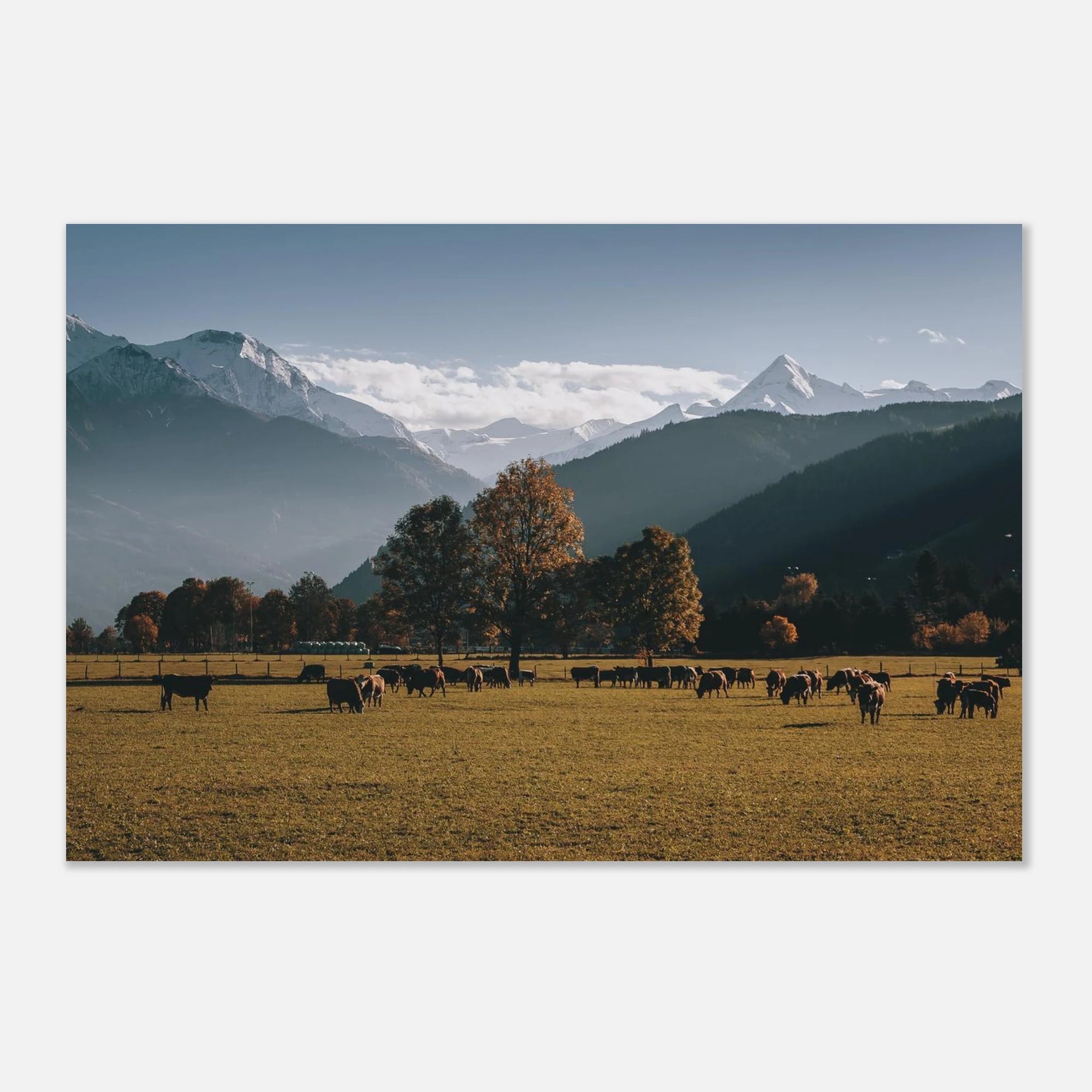 Premium Poster - Herbstlandschaft mit dem Kitzsteinhorn Print Material JFK Photography Prints 30x45 cm / 12x18″