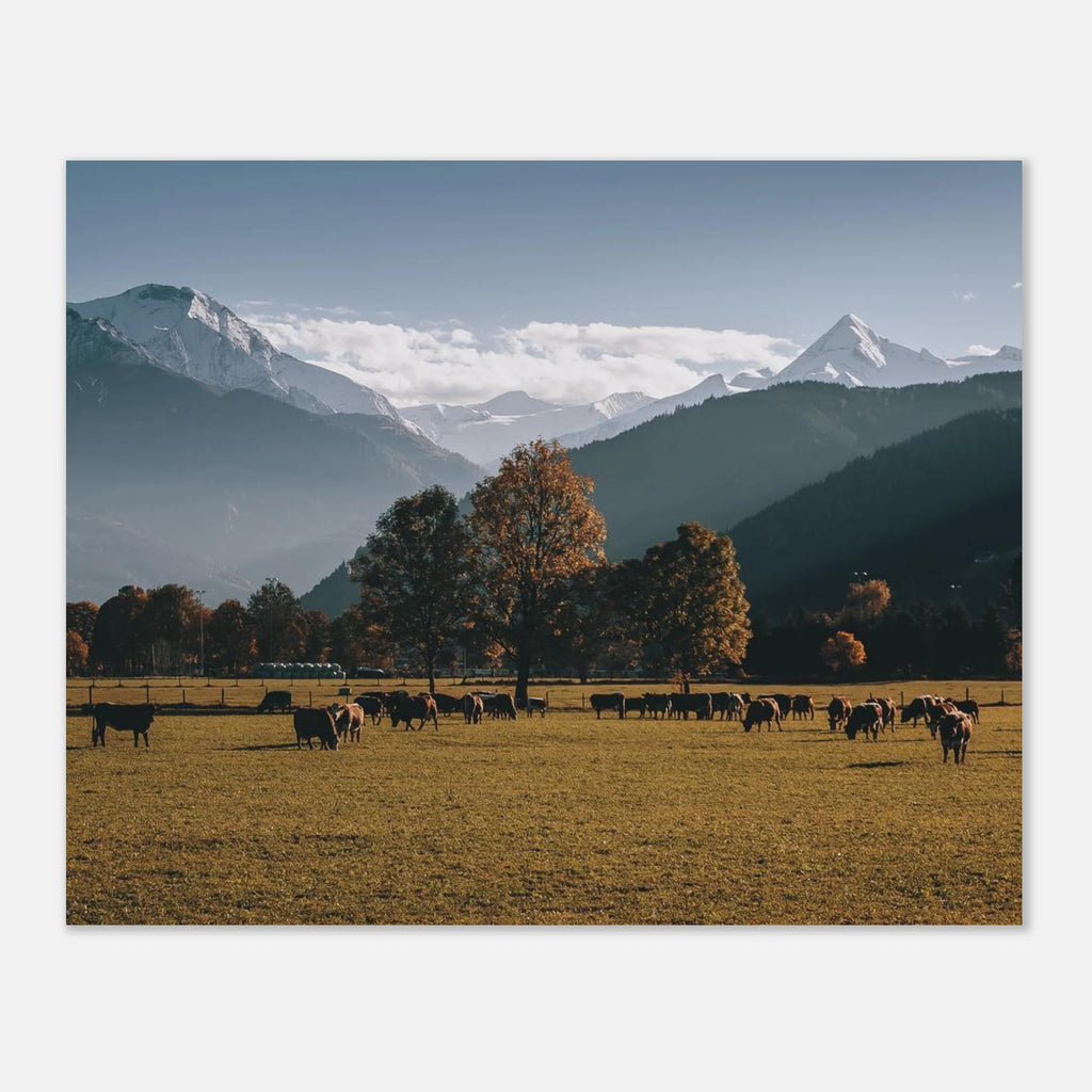 Premium Poster - Herbstlandschaft mit dem Kitzsteinhorn Print Material JFK Photography Prints 20x25 cm / 8x10″