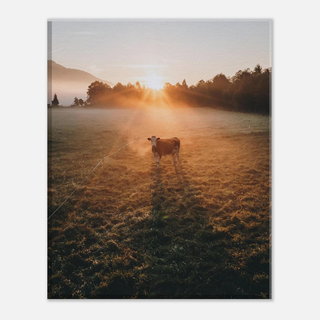 Leinwand Dick - Sonnenaufgang mit Kuh im Gegenlicht Print Material JFK Photography Prints 20x25 cm / 8x10″