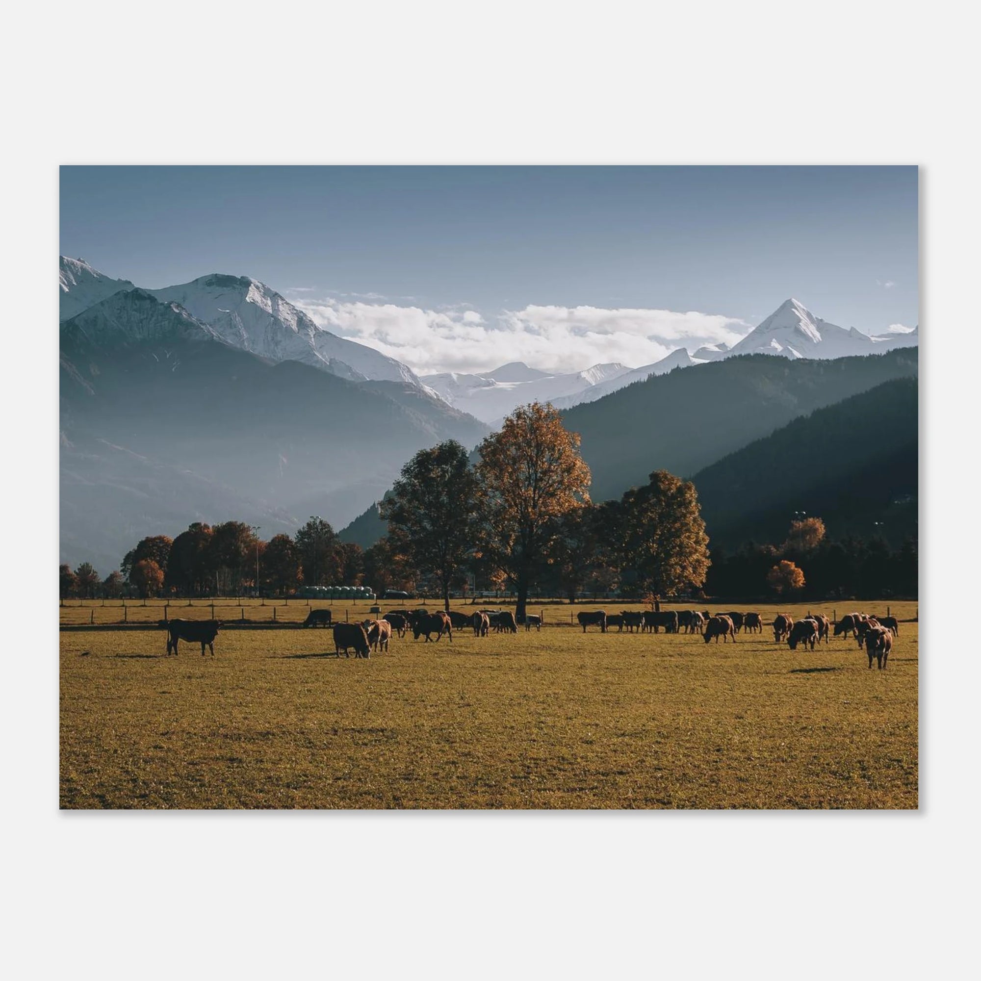 Premium Poster - Herbstlandschaft mit dem Kitzsteinhorn Print Material JFK Photography Prints 45x60 cm / 18x24″