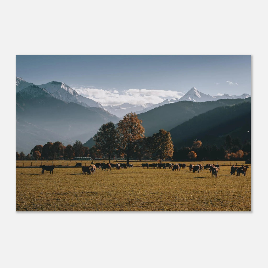 Premium Poster - Herbstlandschaft mit dem Kitzsteinhorn Print Material JFK Photography Prints 40x60 cm / 16x24″