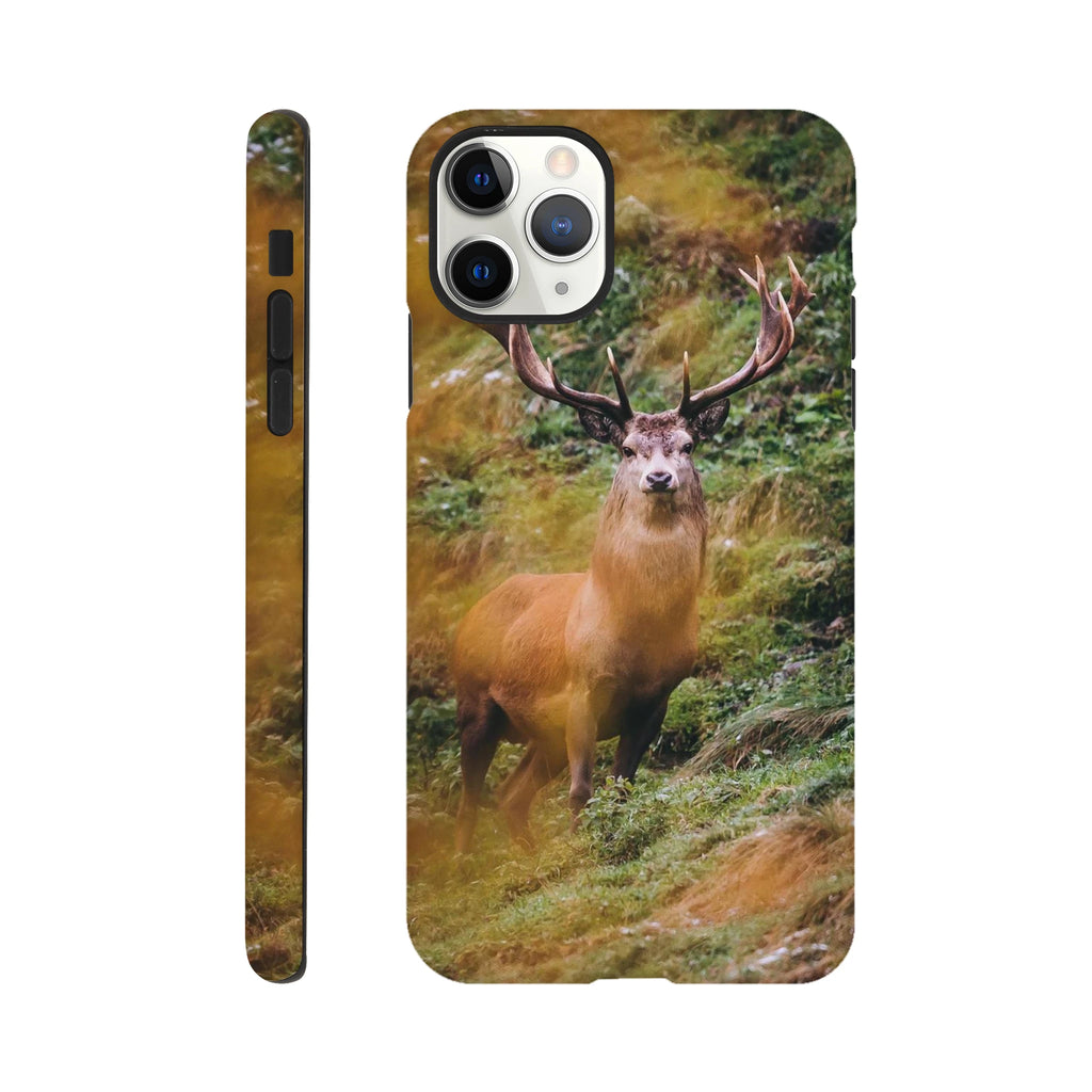IPhone Hartschalen Case - der Hirsch Print Material JFK Photography Prints iPhone 11 Pro Max