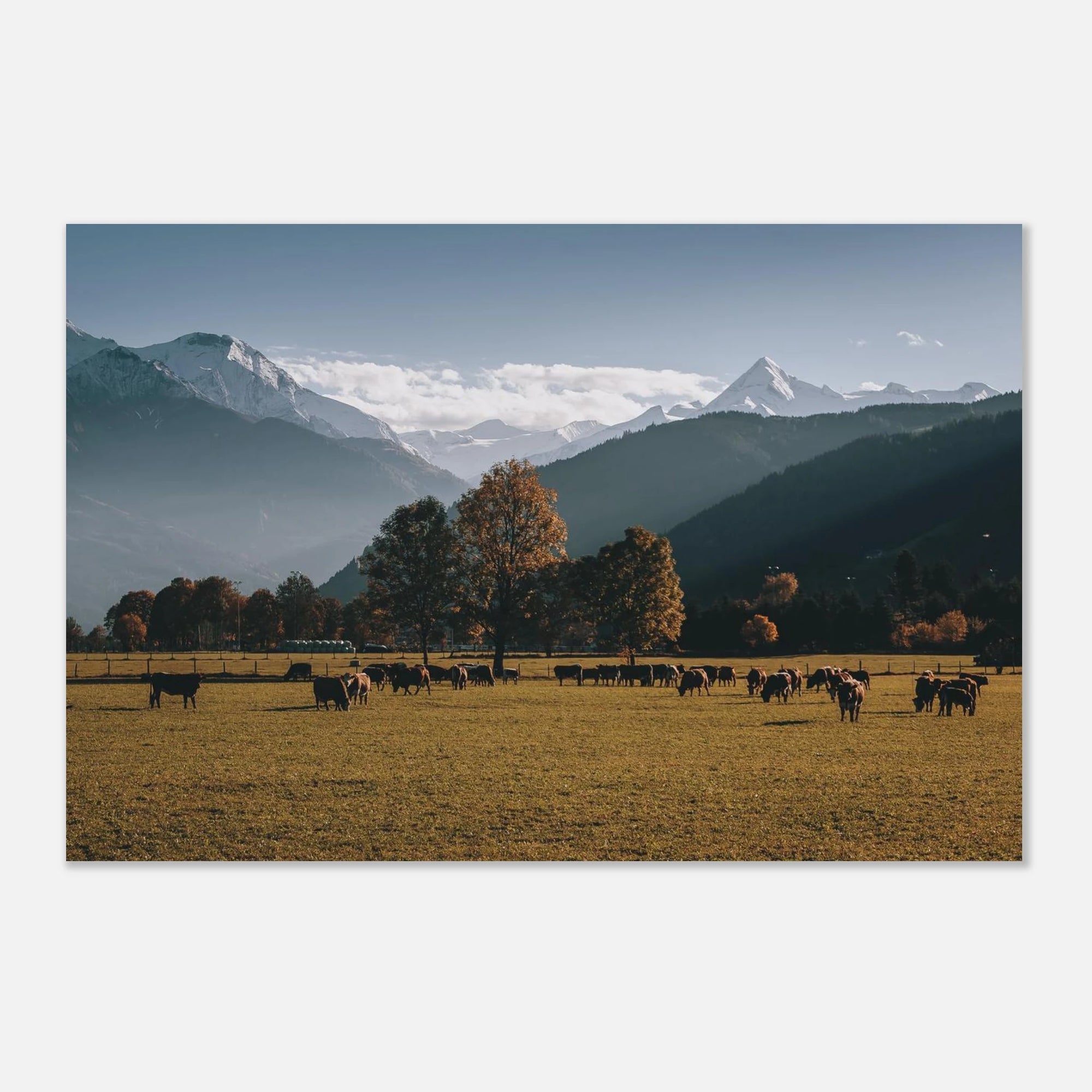 Premium Poster - Herbstlandschaft mit dem Kitzsteinhorn Print Material JFK Photography Prints 60x90 cm / 24x36″
