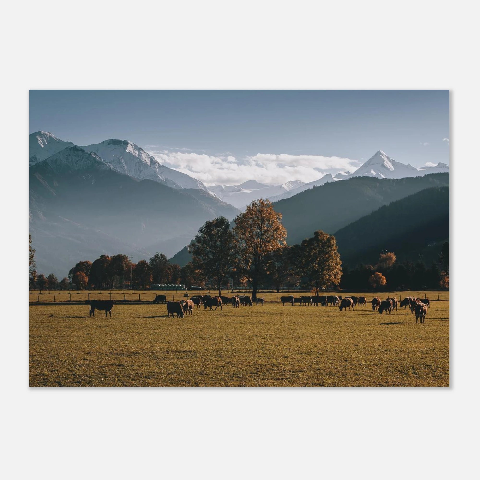Premium Poster - Herbstlandschaft mit dem Kitzsteinhorn Print Material JFK Photography Prints A3 (29.7 x 42 cm)