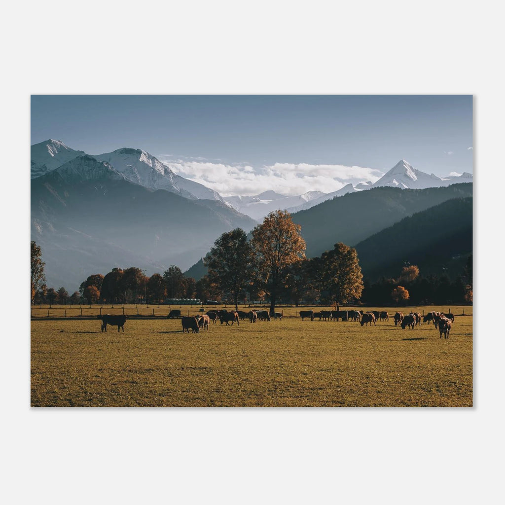 Premium Poster - Herbstlandschaft mit dem Kitzsteinhorn Print Material JFK Photography Prints A1 (59.4 x 84.1 cm)
