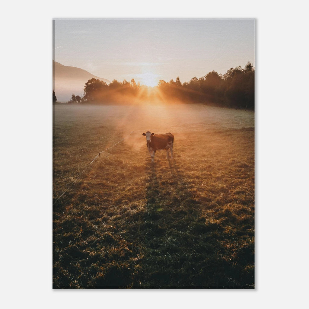 Leinwand Dick - Sonnenaufgang mit Kuh im Gegenlicht Print Material JFK Photography Prints 30x40 cm / 12x16″