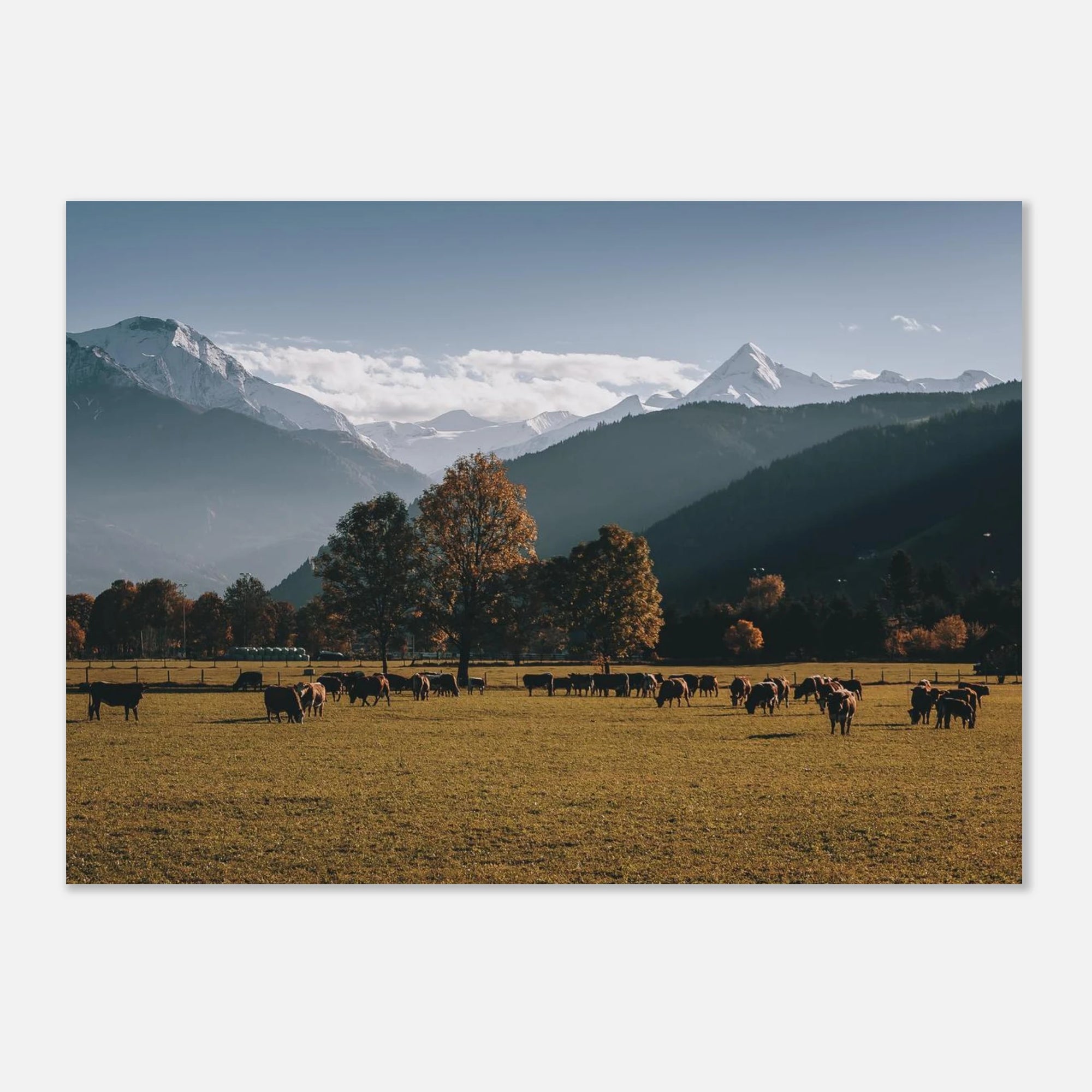 Premium Poster - Herbstlandschaft mit dem Kitzsteinhorn Print Material JFK Photography Prints 50x70 cm / 20x28″